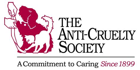 Anti cruelty society - The Anti-Cruelty Society is a private, independent, 501(c)(3) nonprofit that relies on the generosity of our donors and supporters. We are committed to an open door philosophy that provides care and compassion for any animal in need.